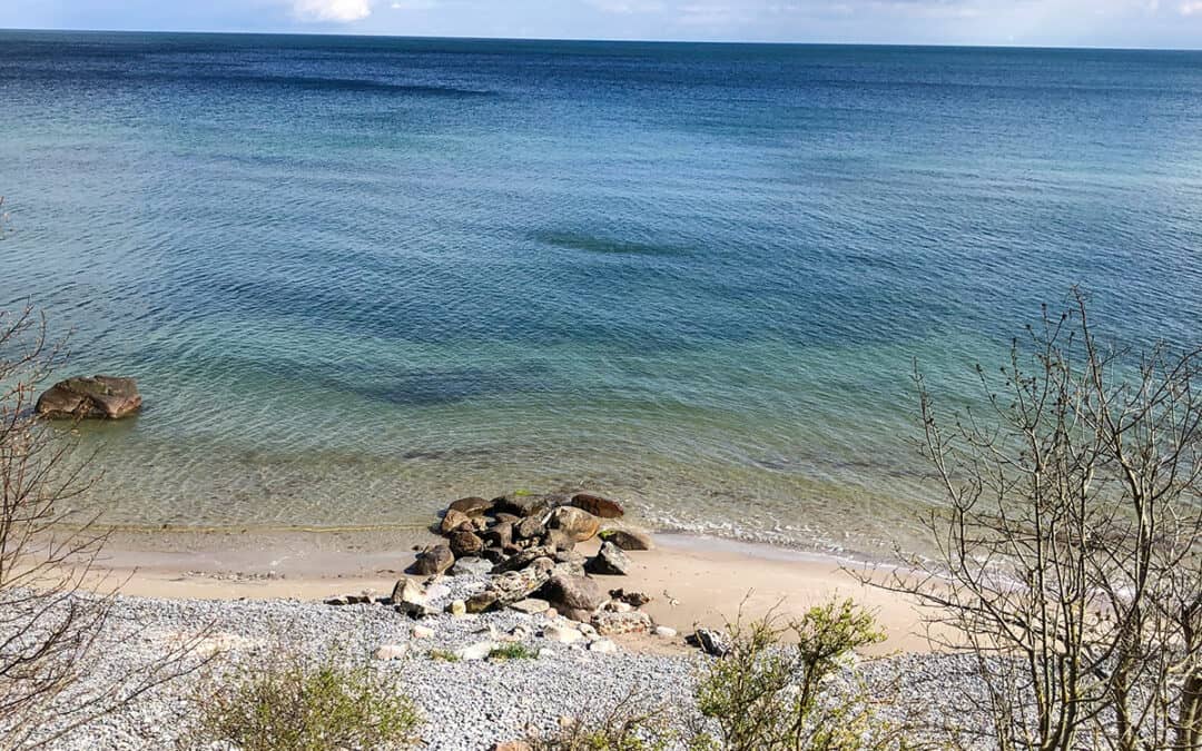 Stone Reef Restoration on Møn – Mads Rev (Denmark)