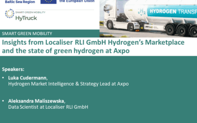 Green Hydrogen Perspectives in Switzerland and the International Hydrogen Marketplace