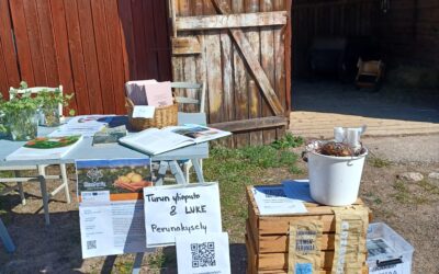 Heritage potato days in the Kupittaa Allotment Garden and the Kuralan Kylämäki open-air museum: a celebration of tradition and taste