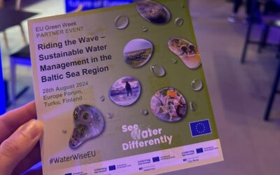 Riding the Wave – Europe Forum in Turku 28.08.24