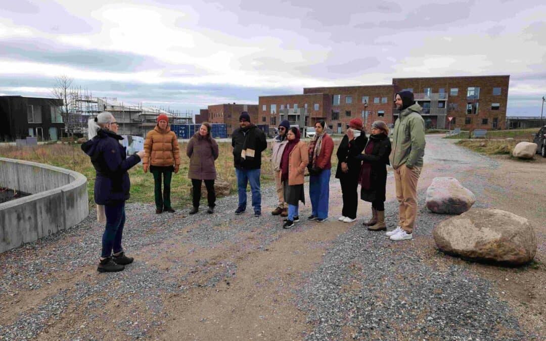 Aarhus Municipality’s progress in co-creating Nature-based solutions for stormwater management in Nye