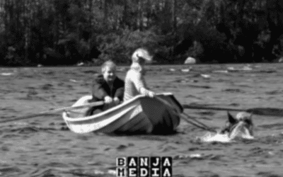 Banja Media Ltd: Video Pilot: “No, that’s not how you save the world”