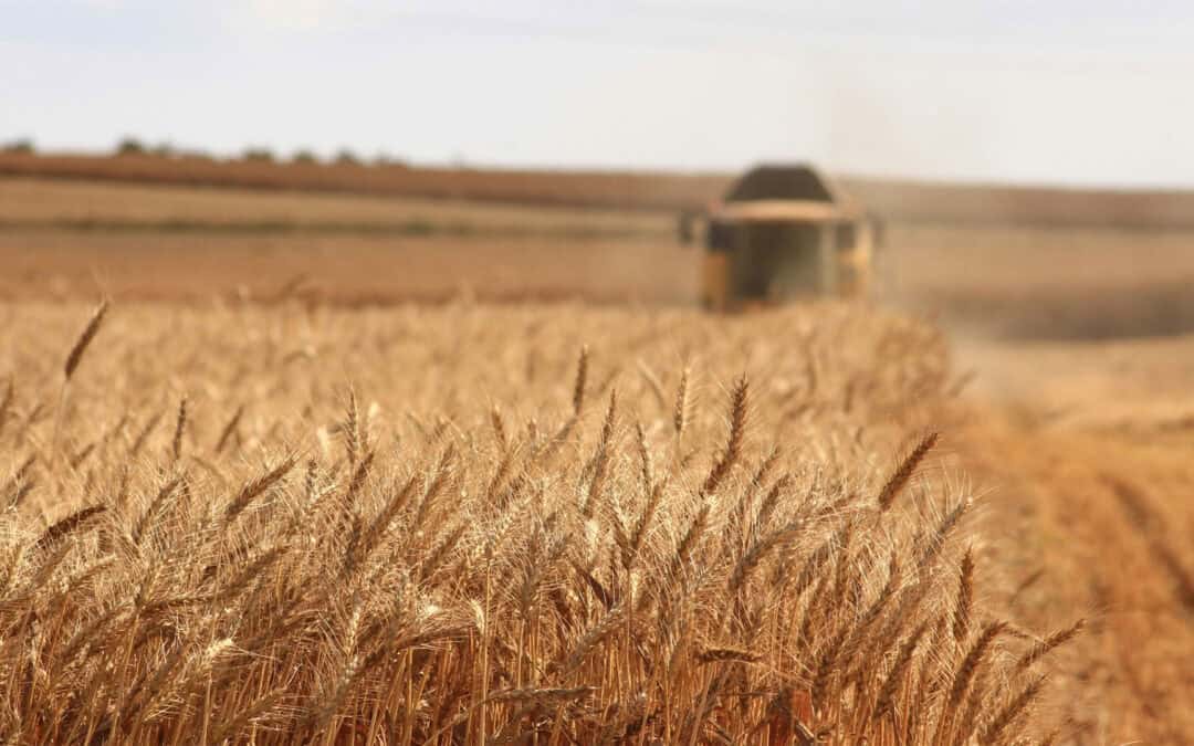 Interreg for agriculture