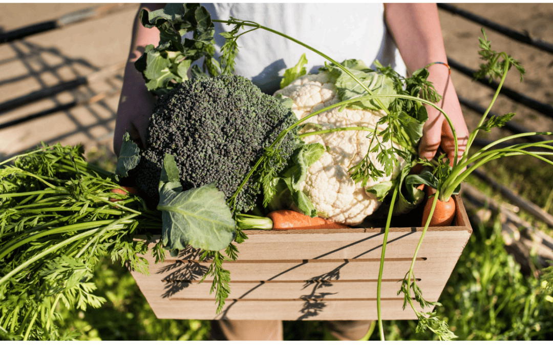 Strengthening Sustainable Food Systems Through External Collaboration