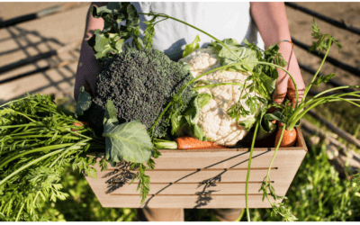 From Local Action to European Cooperation: Strengthening Sustainable Food Systems through External Collaboration Across Europe