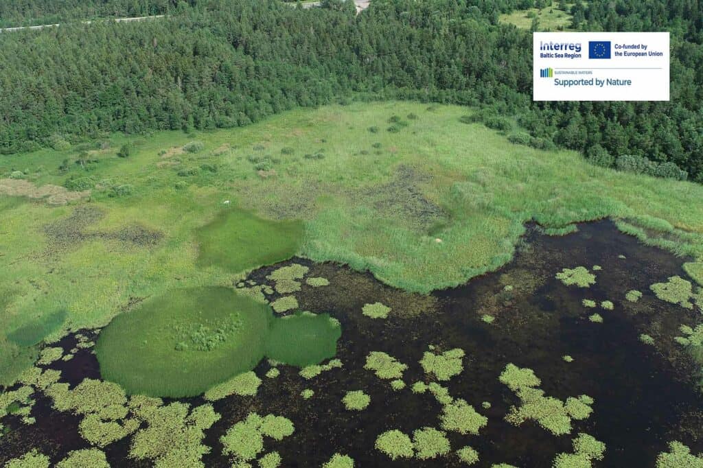 An aerial photo over wetlands and forests