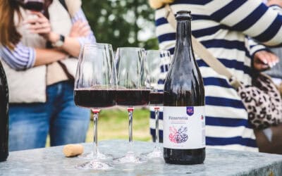 Small-scale farm sales of alcoholic beverages – as early as this summer?