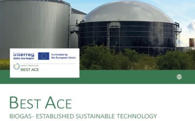 Final webinar and release of Baltic Biogas Roadmap