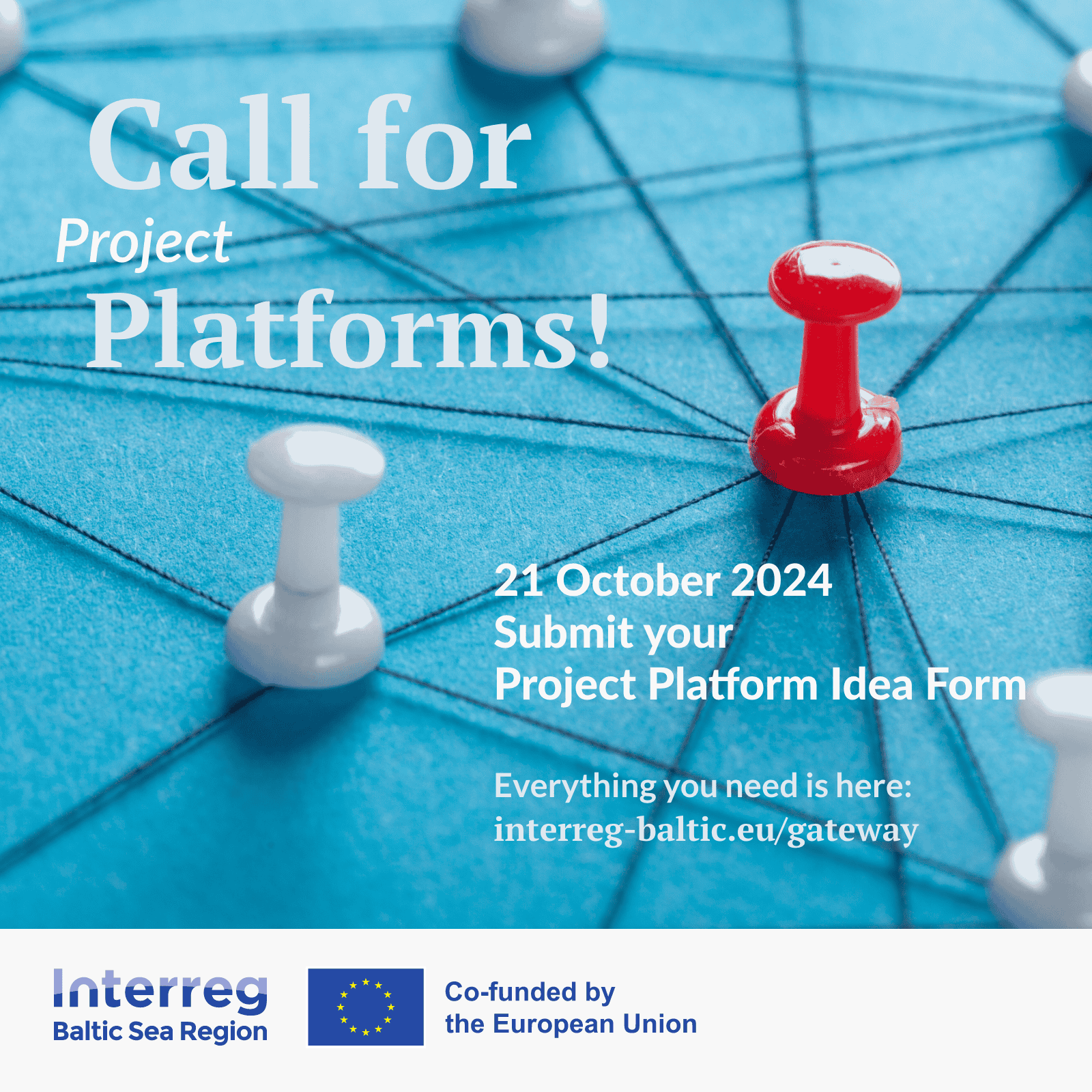 Open call for IBSR project platforms