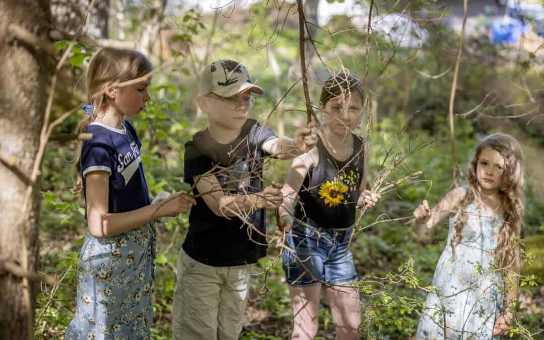 Materials for “Nature calling.” workshops