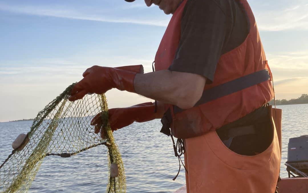 Pilot 1-4 – Test fishing