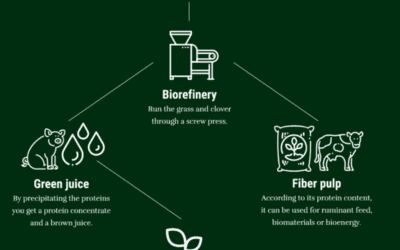 Circular bioeconomy – Guide for teachers