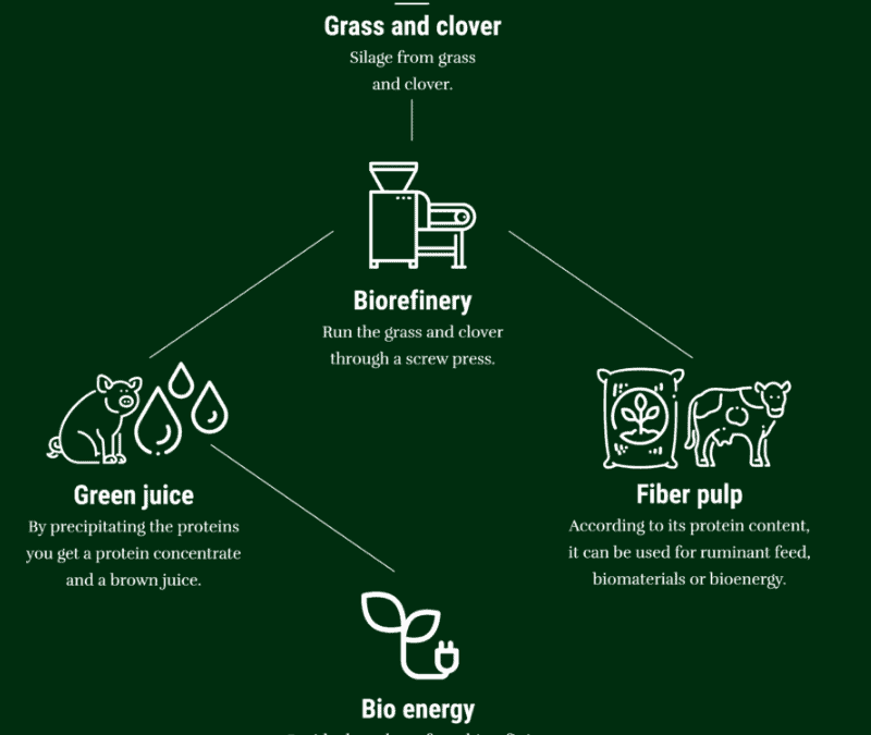 Circular bioeconomy – Guide for teachers