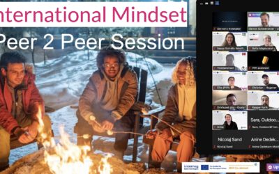 Peer 2 Peer Sessions: programme expert’s insight