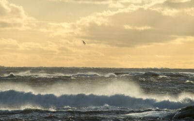 The BEACON Project helped improve the monitoring of the Baltic Sea