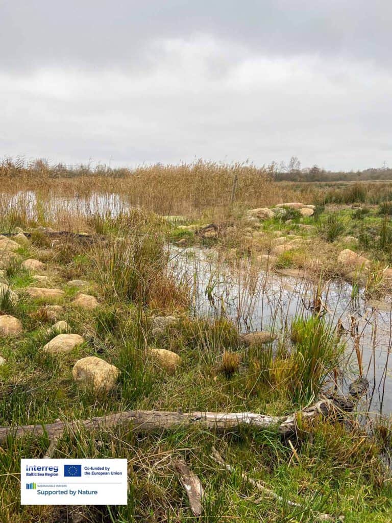 Wetland with stones in the water and gras