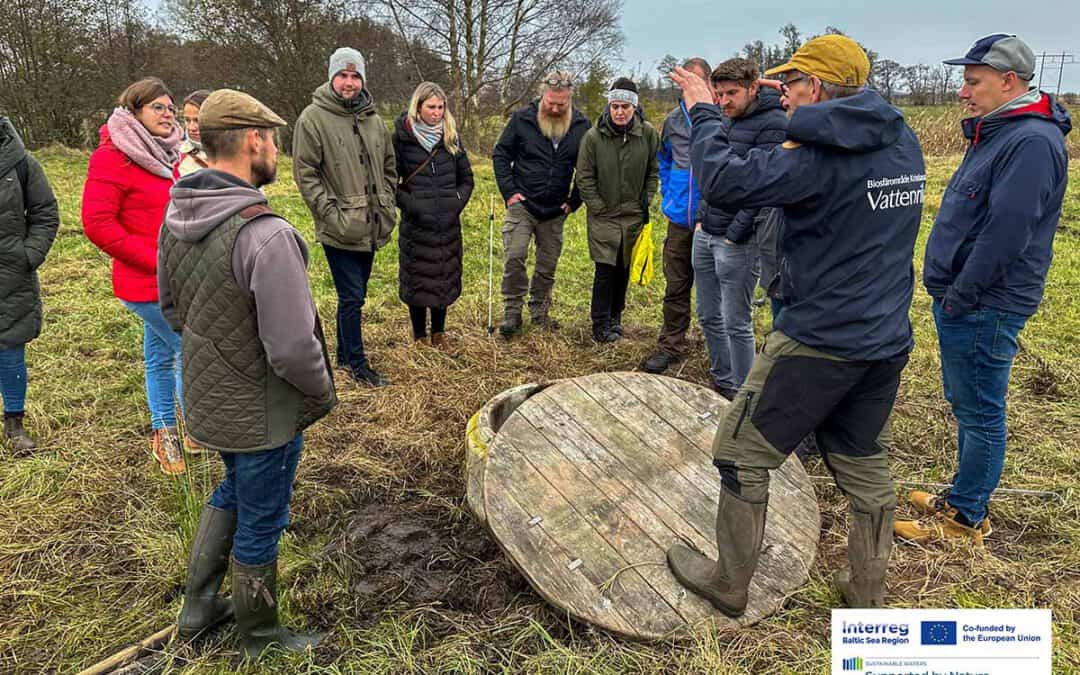 Transnational Learning: Exploring Wetlands Together