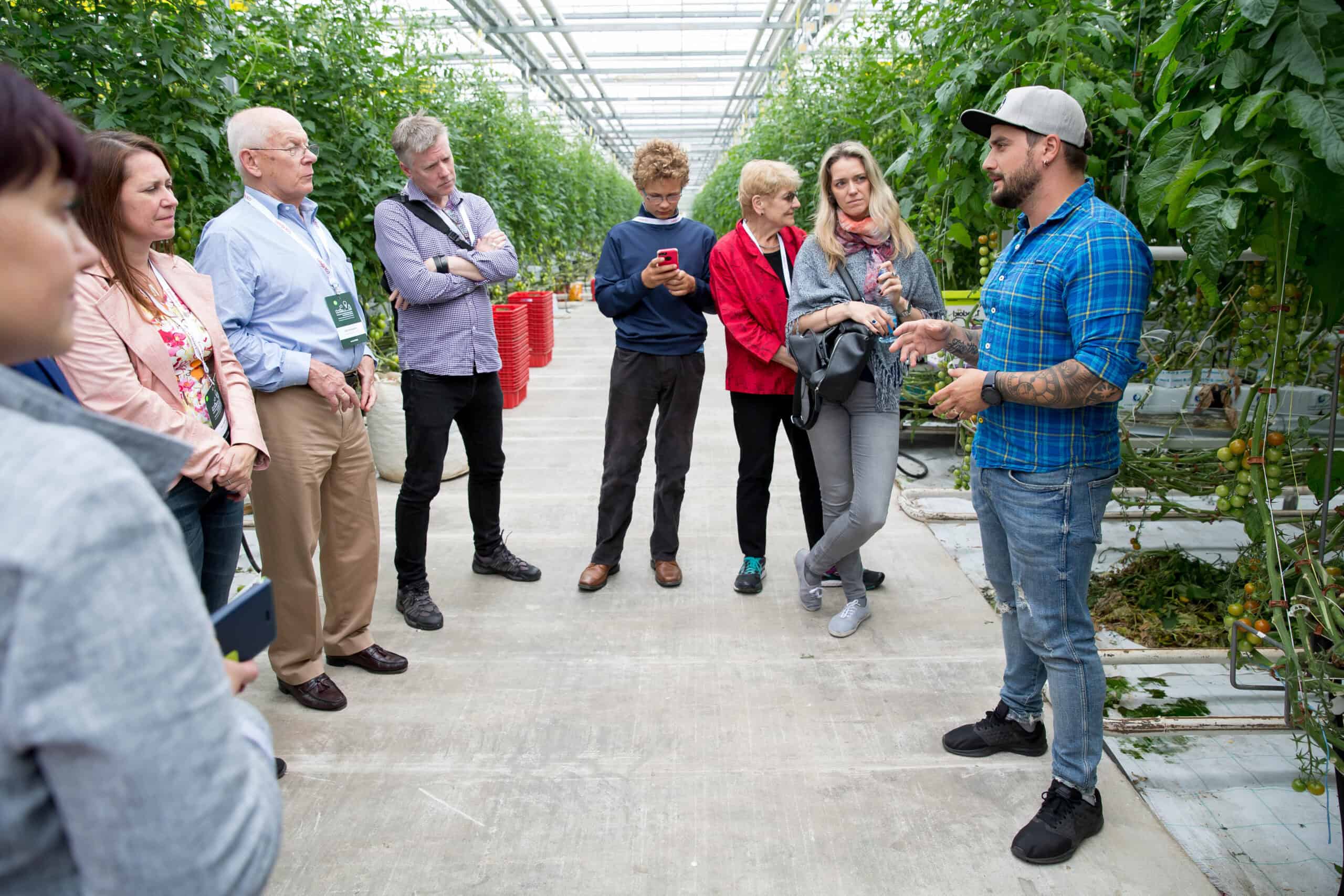 What are the Key Competencies Needed by Business Support Organizations to Assist Rural Companies in the E-Bio Sector?