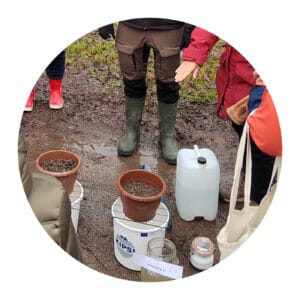 Part of the image:Bucket-size demonstrations of the effects of gypsum method.