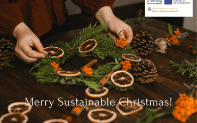 Christmas poll – what are your sustainability actions for Christmas and the New Year?