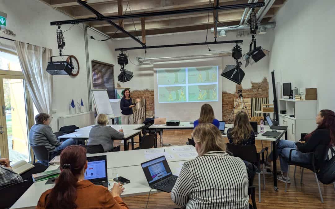 Training the trainers in Estonia: Impact Entrepreneurship and Social Innovation