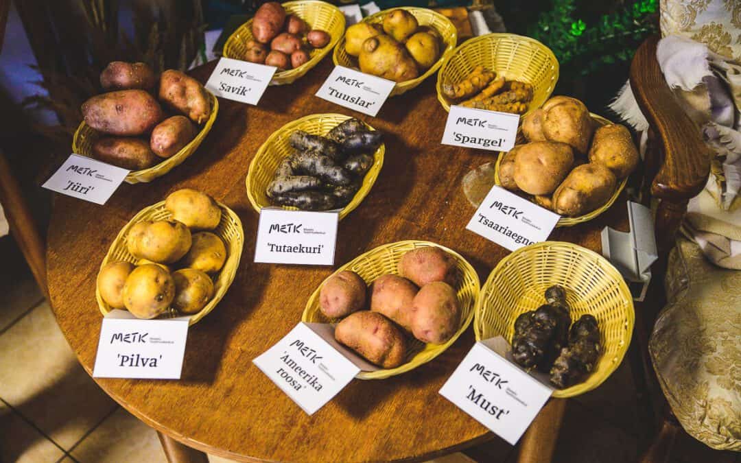 The Stories and Flavors of Estonian Potatoes