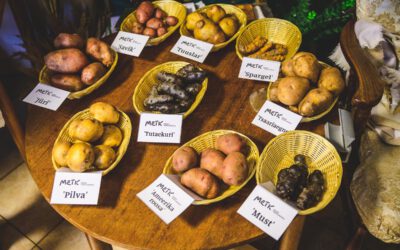 The Stories and Flavors of Estonian Potatoes