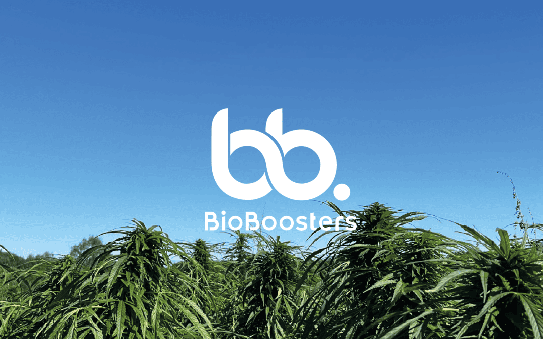 Nordic Hemp Hackathon: Are you ready to push the boundaries of hemp valorization?