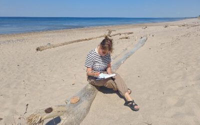 Latvian team carried out two related pilot projects — one at the regional level and one at the national level