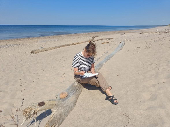 Latvian team carried out two related pilot projects — one at the regional level and one at the national level