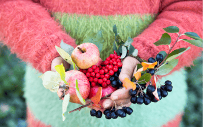 Success story: Collaboration in project Bascil creates engaging, market-ready experiences