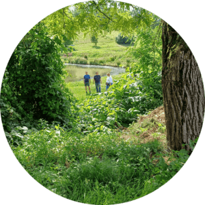 Participants of the meeting walking in the farm.