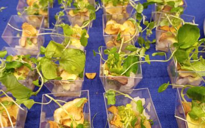 Pilot 7 – Develop new round goby food products for human consumption