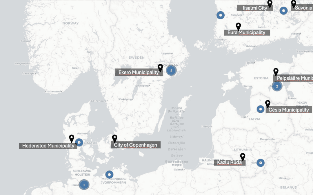 Meet the Friendship Cities: Digital kick-off – 29.01.