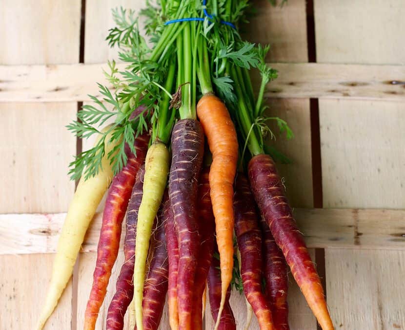 Organic Food Transition in Bremen schools, Germany