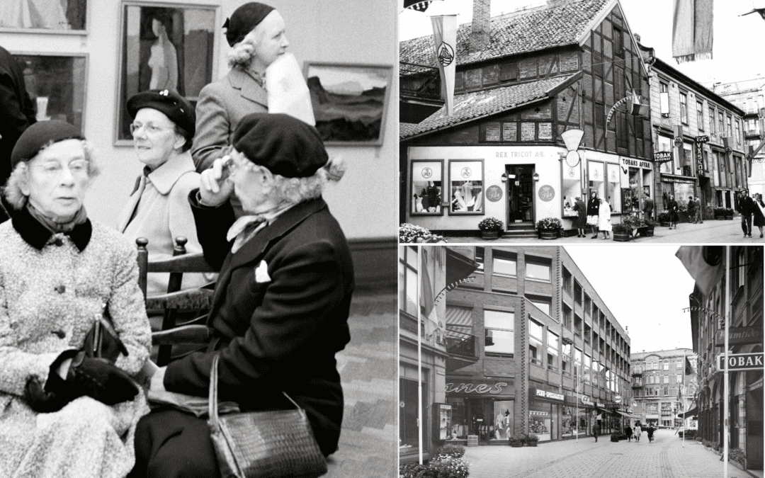 Engaging the Elders: Helsingborg’s Living History Project Strengthens Roots and Community