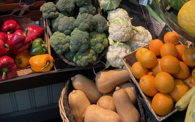 Organic Food Transition in Bremen schools, Germany