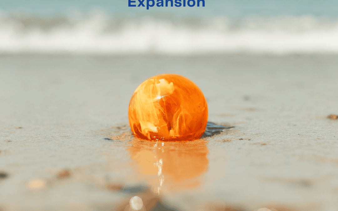 The Baltic Sea Region – Europe’s Best-Kept Secret for SME Expansion