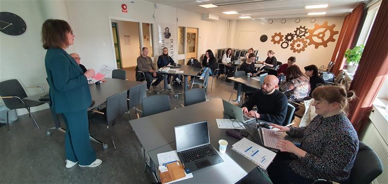 BSI_4Women Partnership Meeting in Borlänge, Sweden