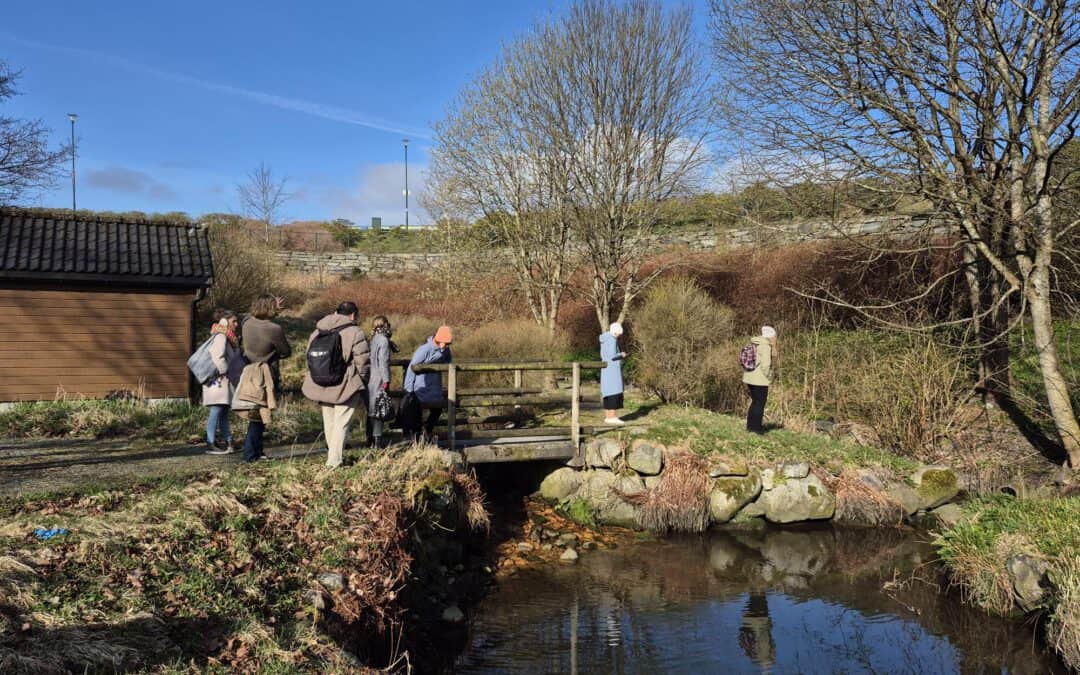 City Blues supports nature and human wellbeing with nature-based solutions