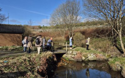 City Blues supports nature and human wellbeing with nature-based solutions