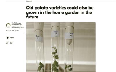 MainPotRe project gains national visibility through Estonia’s leading news portal