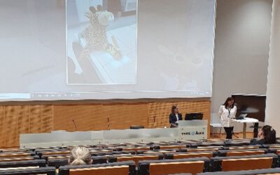 Final Seminar in Finland