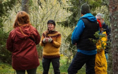 Gaining Inspiration for Off-Season Tourism Development