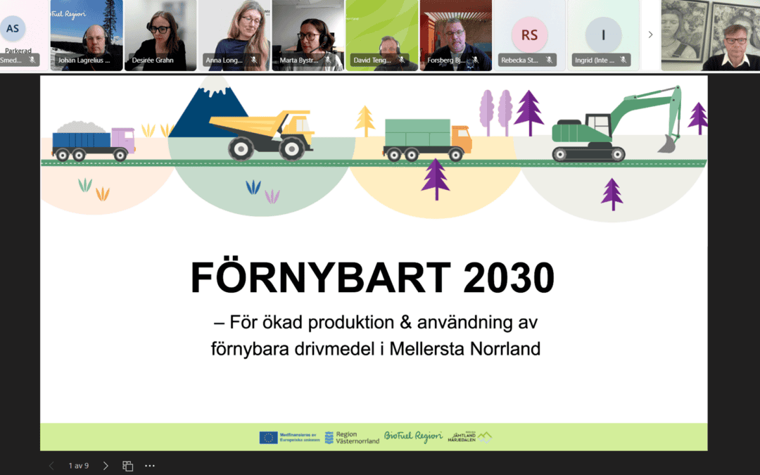 Blue Supply Chains Project Showcased at Renewable 2030 Reference Group Meeting