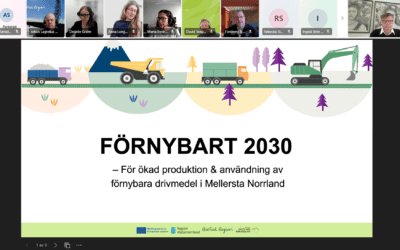 Blue Supply Chains Project Showcased at Renewable 2030 Reference Group Meeting