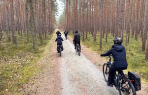People cycling in the forest