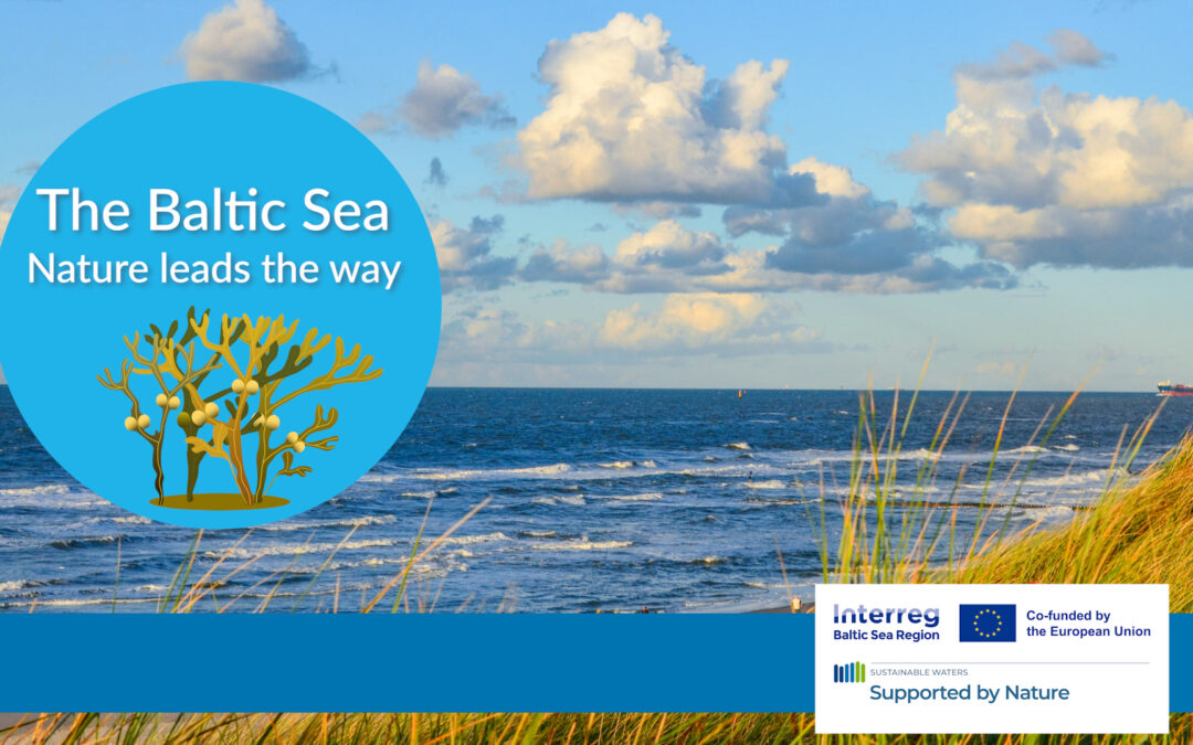 The Baltic Sea – Nature leads the way