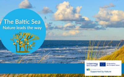 The Baltic Sea – Nature leads the way