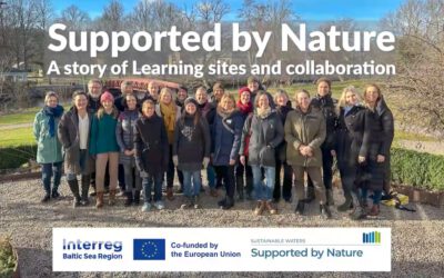 Voices of Our Partners